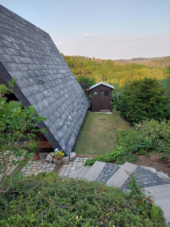 Haus Am See Willingen 外观 照片