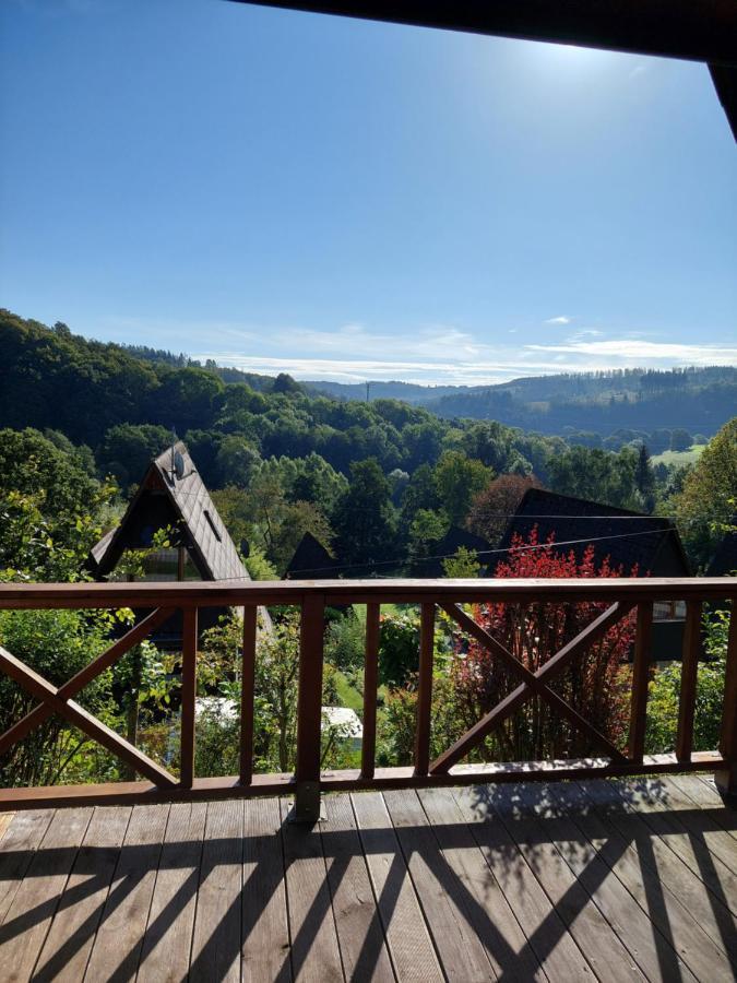 Haus Am See Willingen 外观 照片
