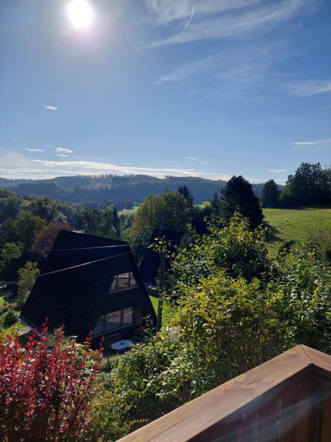Haus Am See Willingen 维林根 外观 照片