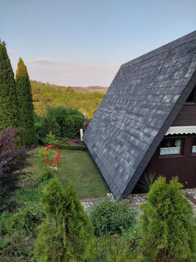 Haus Am See Willingen 外观 照片